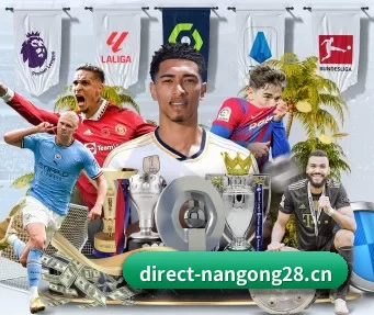 南宫28 APP | ng28.com